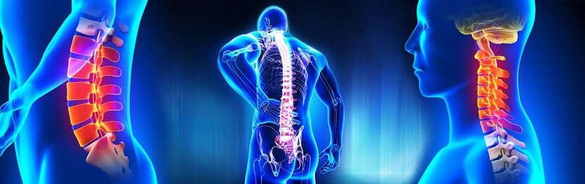 Himalaya Sanjeevni Ayurveda